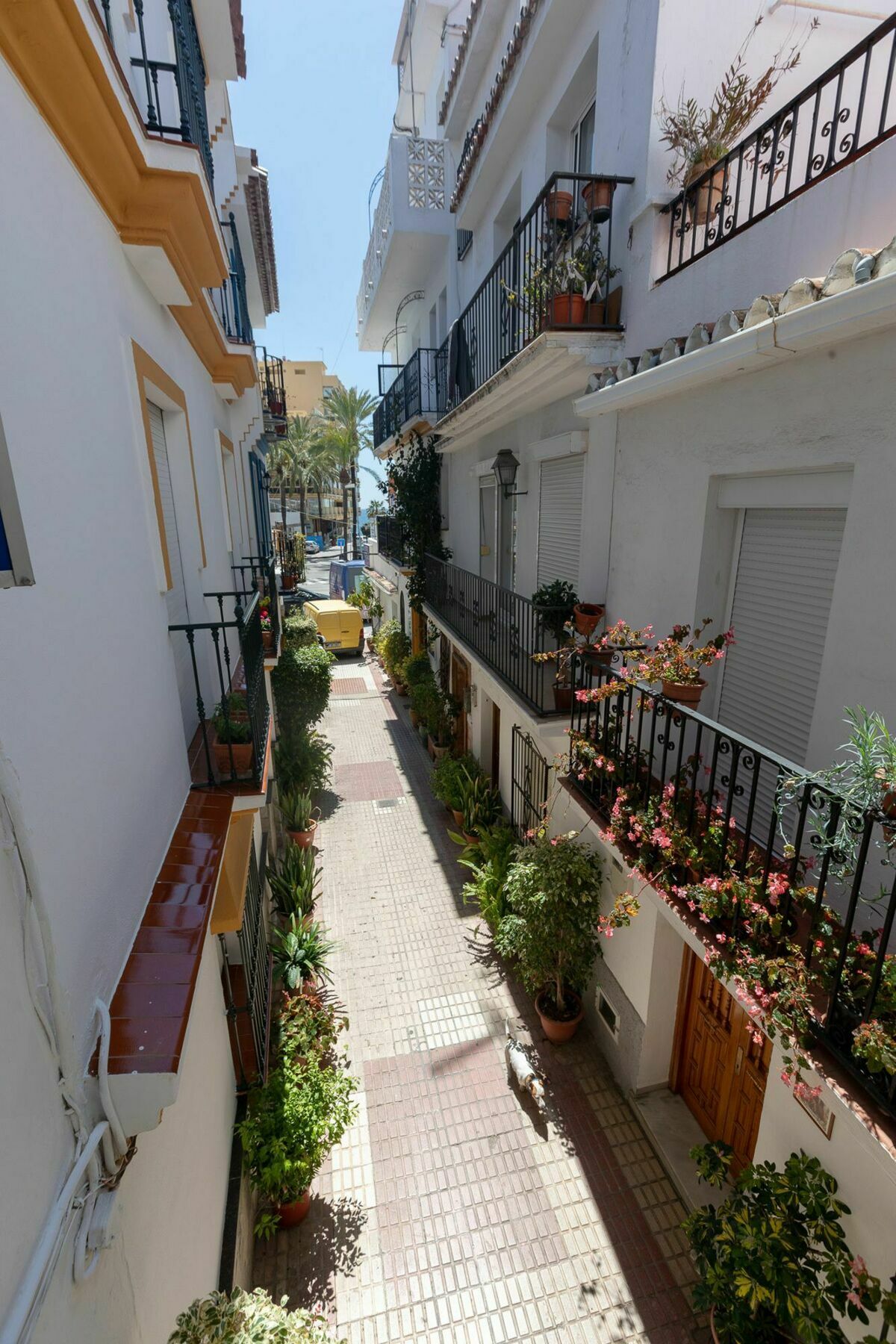 Hostal La Pilarica 마르베야 외부 사진