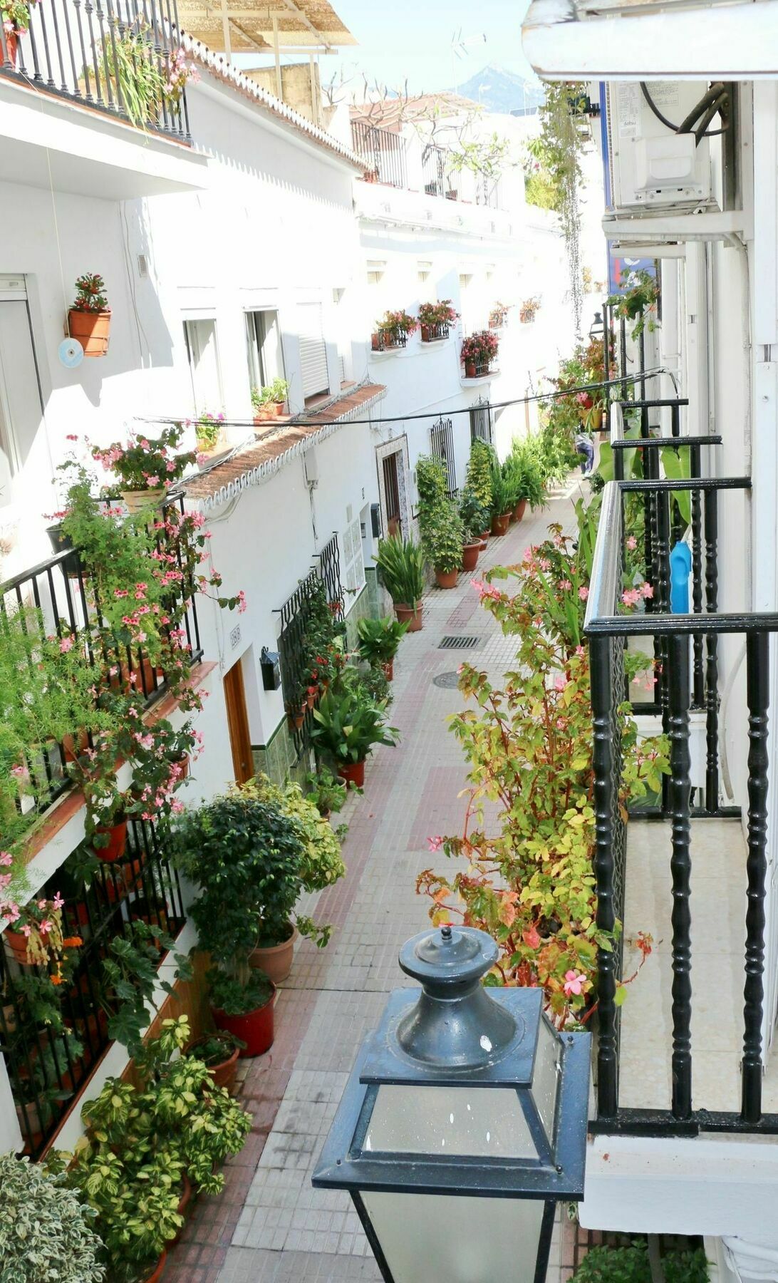 Hostal La Pilarica 마르베야 외부 사진
