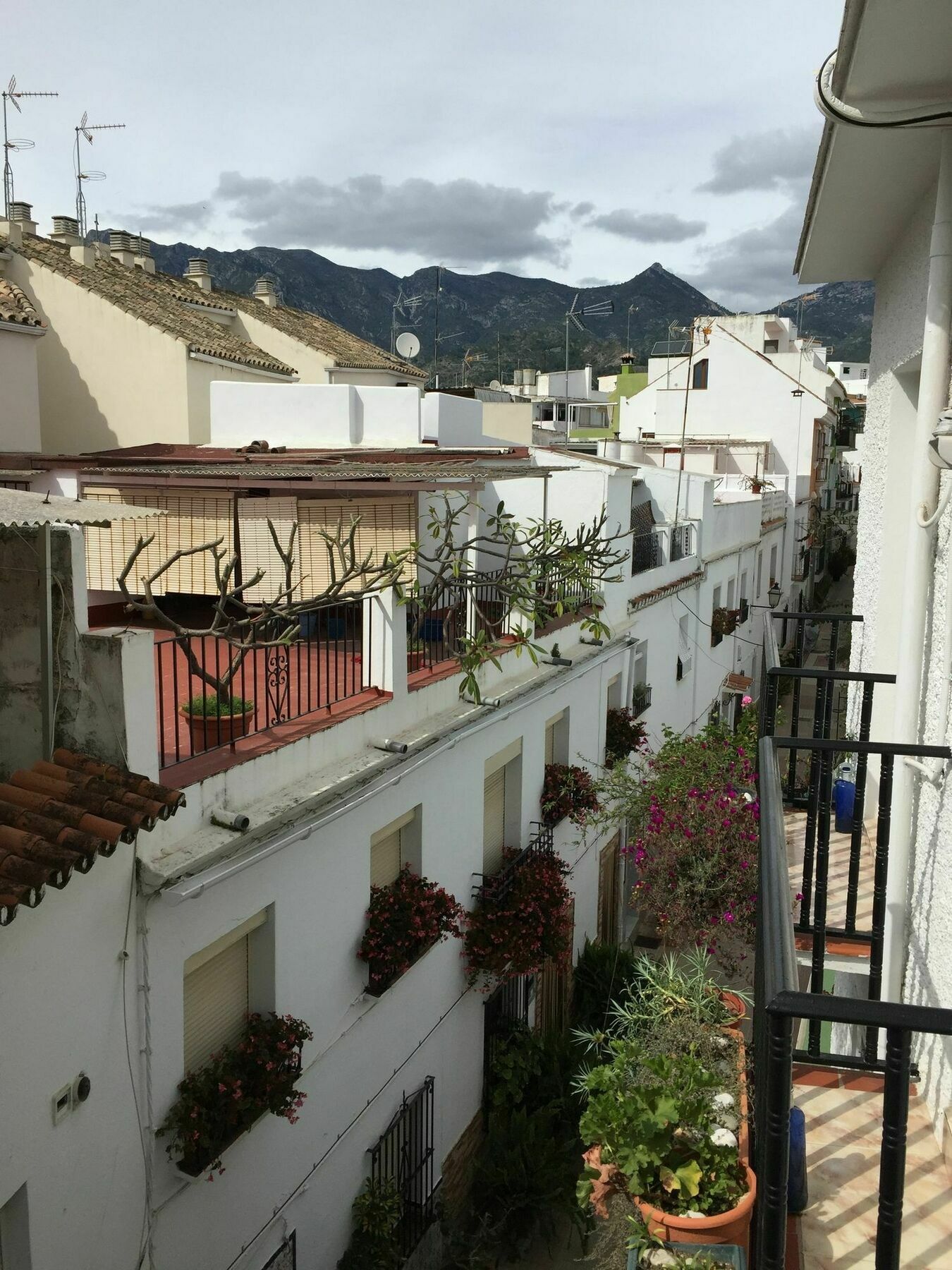 Hostal La Pilarica 마르베야 외부 사진