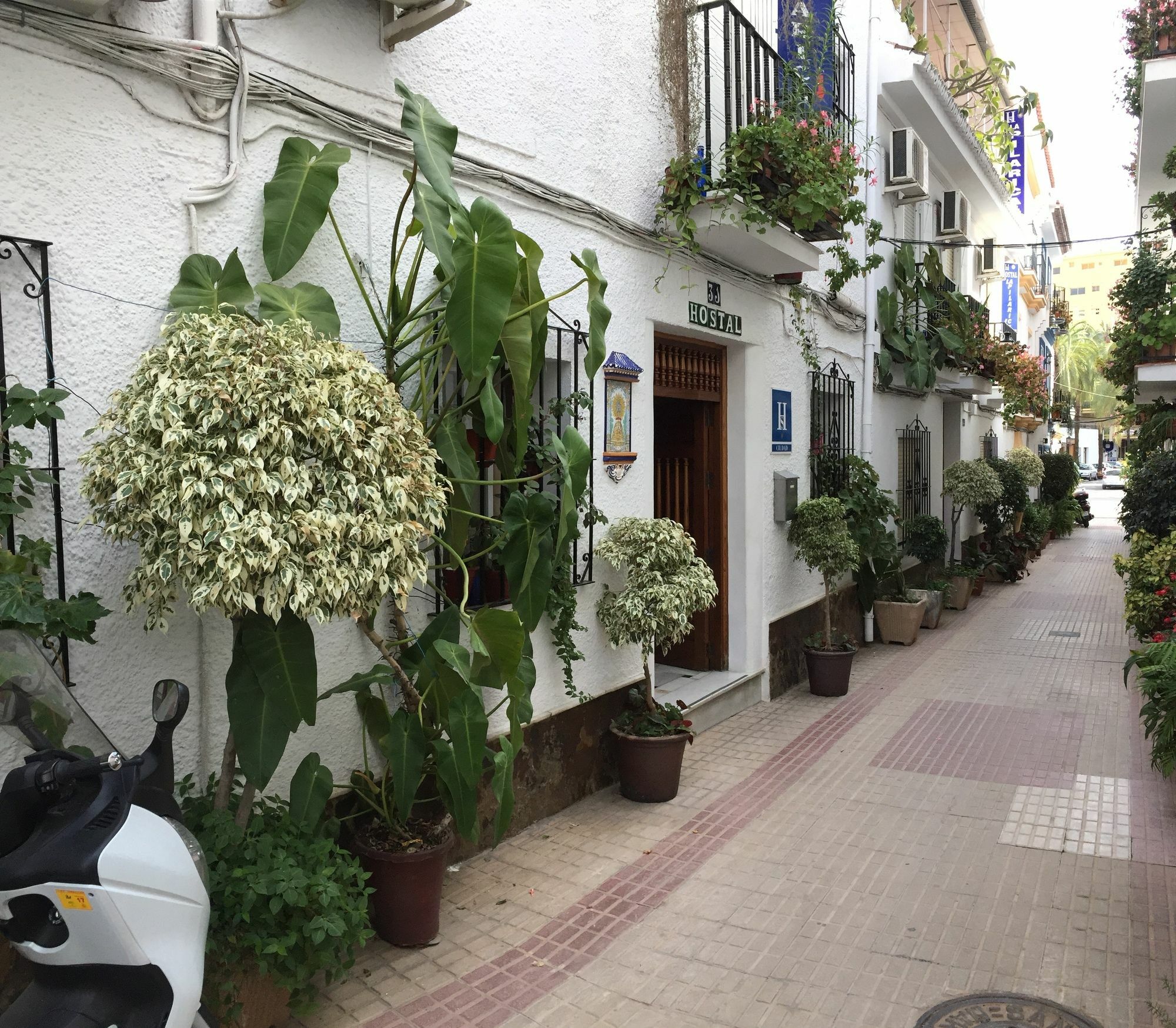 Hostal La Pilarica 마르베야 외부 사진